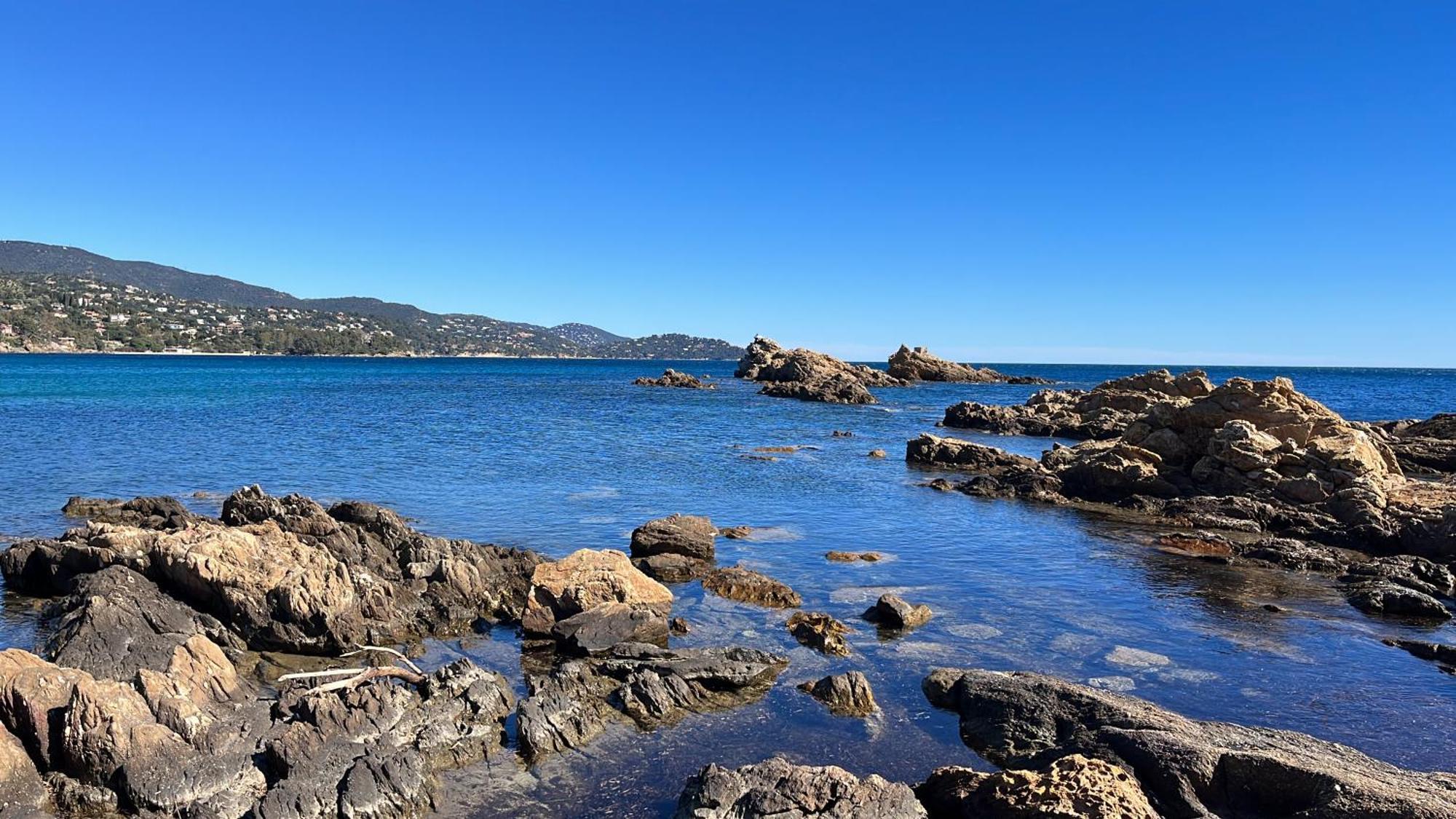 Port De Hyeres L'Etoile Marine公寓 外观 照片