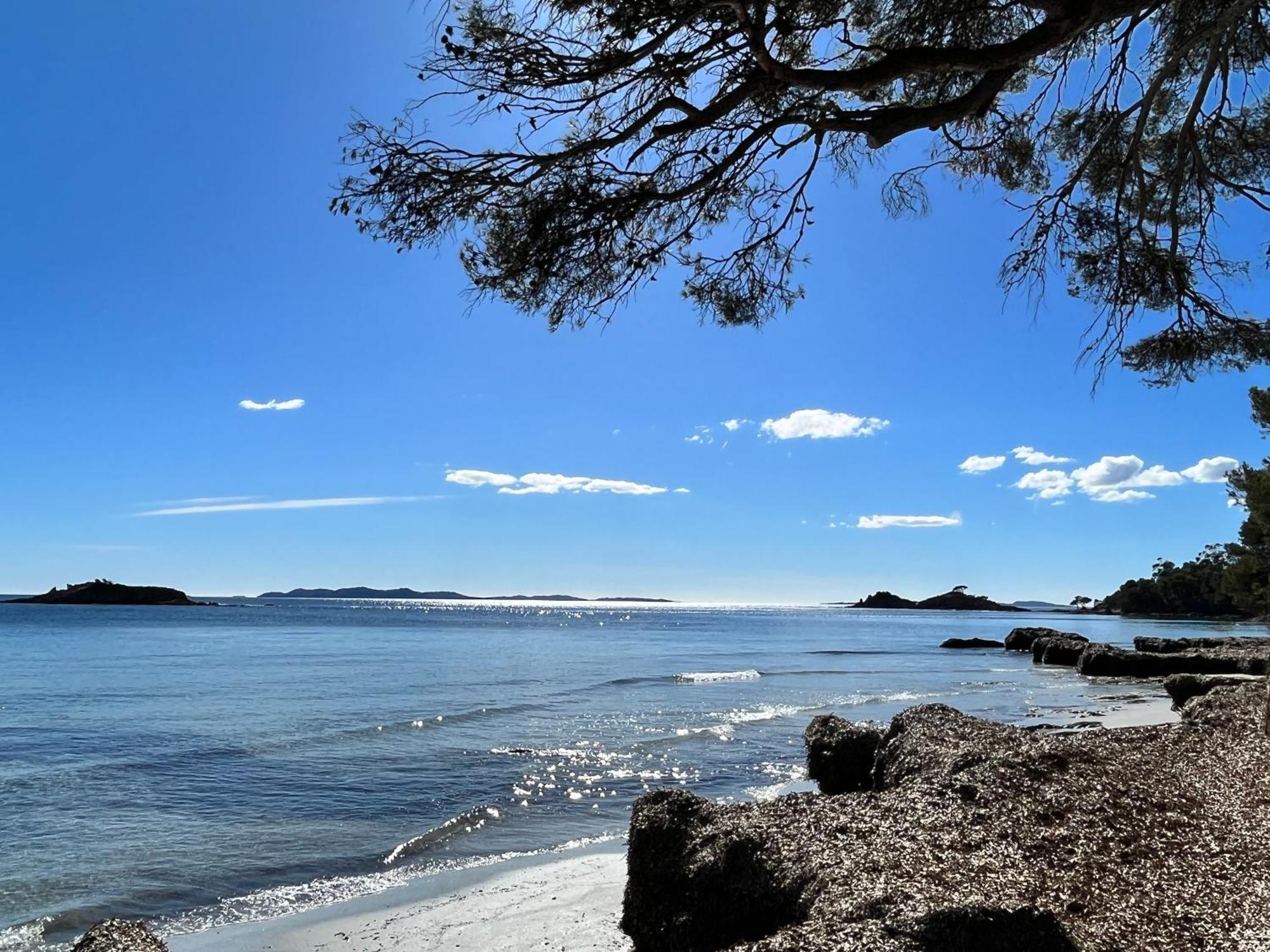 Port De Hyeres L'Etoile Marine公寓 外观 照片